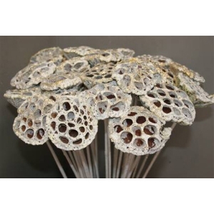 Pick Lotus On Stem White Glitter (10pcs)