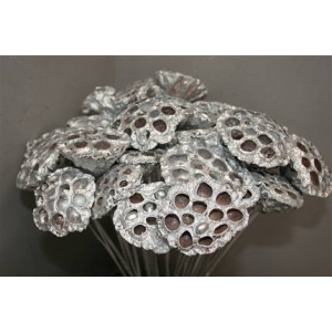 Pick Lotus Head Silver Glitter(10)