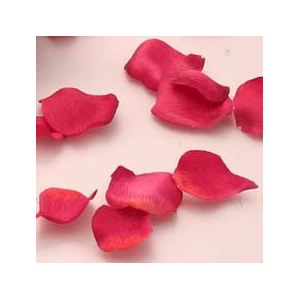 Hot Pink Rose Petals in PVC Tub