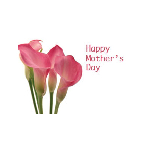 Happy Mothers Day - Pink Lillies