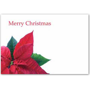 Greeting Card - 'Merry Christmas' red poinsettia