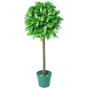 RENTAL 2 x 5ft Artificial Bay Tree