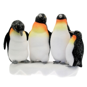 Penguin - White & Black Family of Penguins on Snow Block