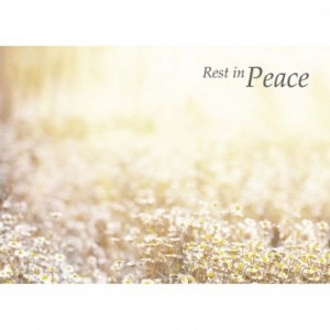 Rest in Peace Field Of Daisies