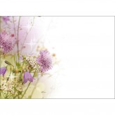 Card Star Bright Wild Flower