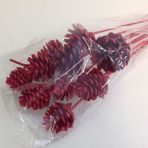 Pick Pine Cone Red Glitter (10)