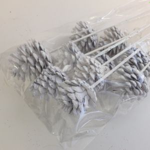 Pick Pine Cone White w glitter  (10)