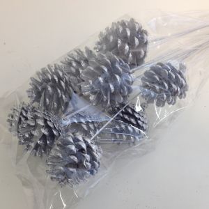 Pick Pine Cone Silver Glitter (10)