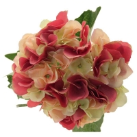 Single Hydrangea Pink/Light Green (84cm)