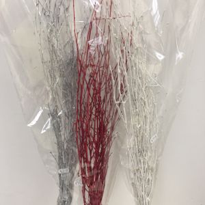 Birch Red 120cm