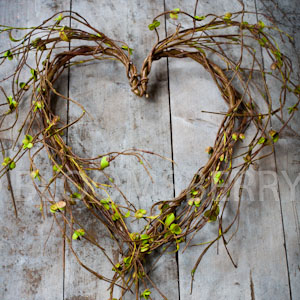 Heart - Wild Willow