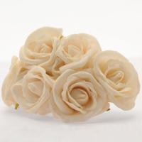 Foam Rose Cream Georgia  x6