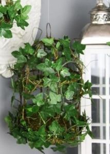 Bird Cage Covered Ivy and Vine H35cm