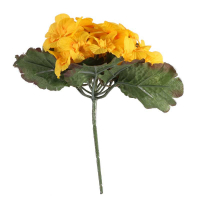 Primula x 25 Flowers Lilac Yellow