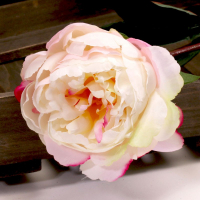 Single Peony Cerise (68cm)