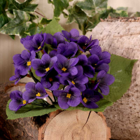 Violet Plant x 24 Flowers 4 Leaves Purple