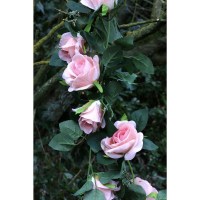 Rose Garland Peach (1.8m)