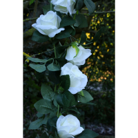 Rose Garland Cream (1.8m)