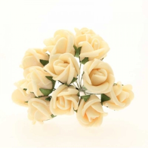 Montana Foam Rose x12 Lemon