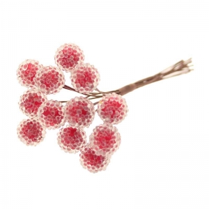 Red Berry with Sugar Bunch