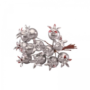 Pick Silver Rose Hip